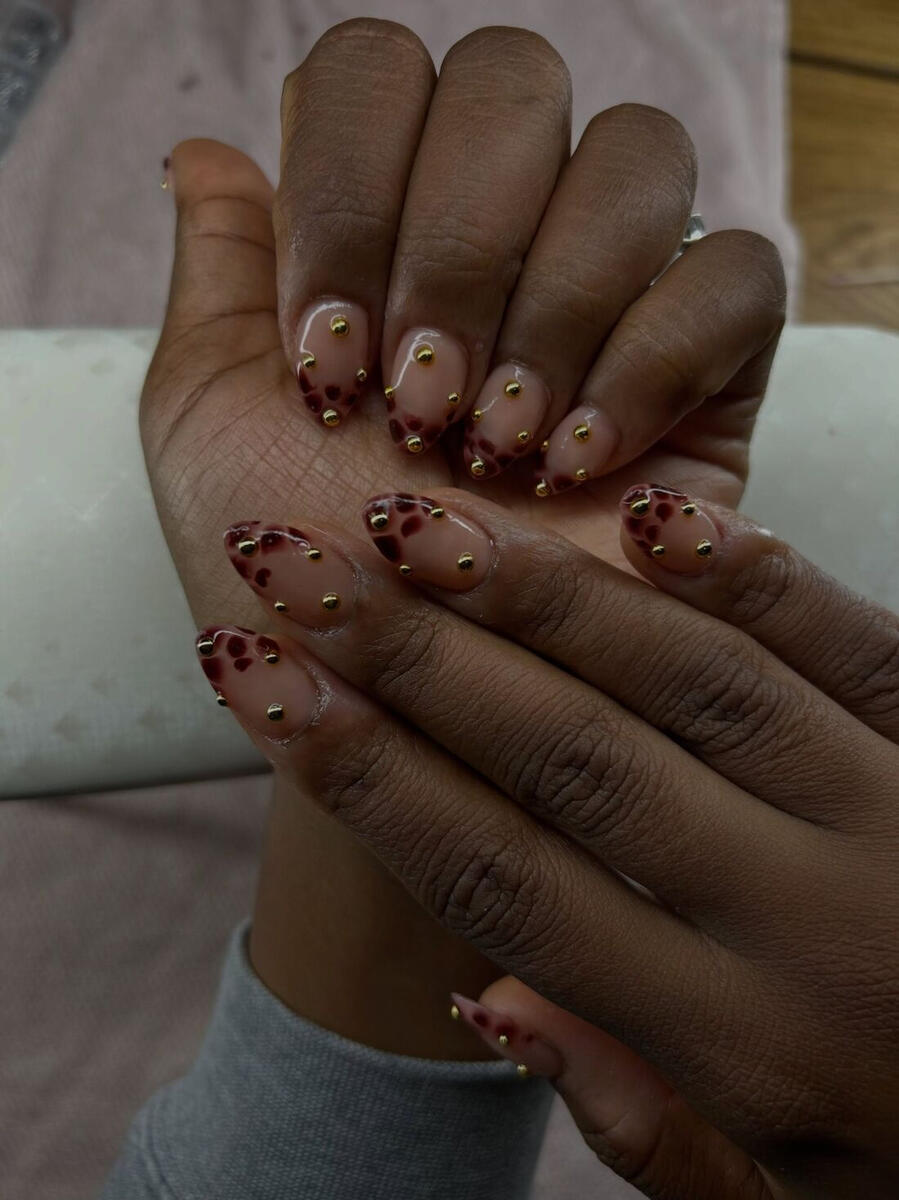 bn-leopard